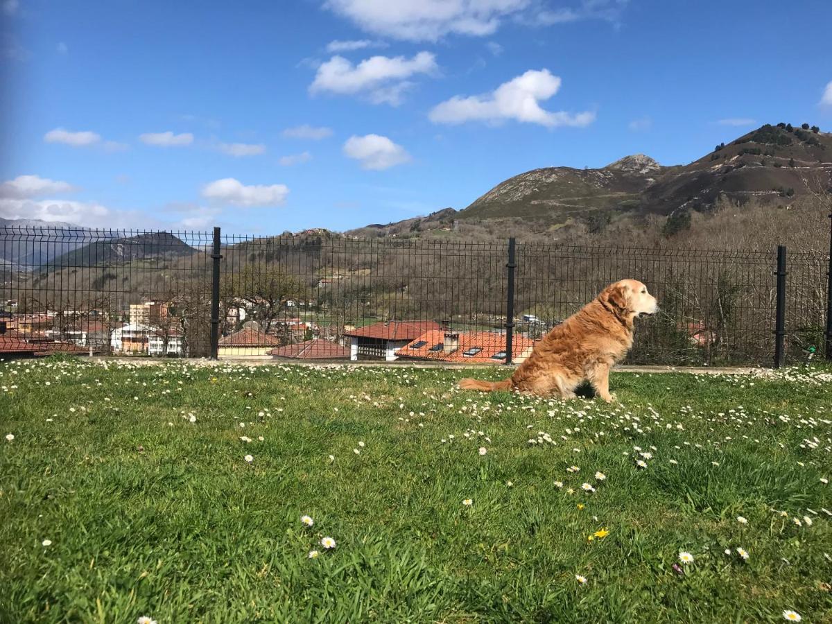 Apartamento Cangas Relax Onís Exteriör bild